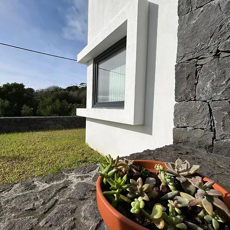 Charming House With Garden In